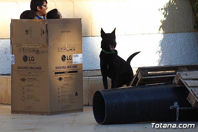I Exhibicin Canina de Perros Detectores  - 72