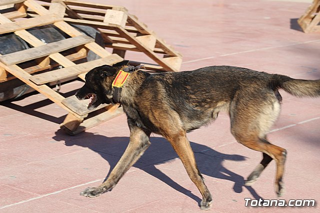 I Exhibicin Canina de Perros Detectores  - 76