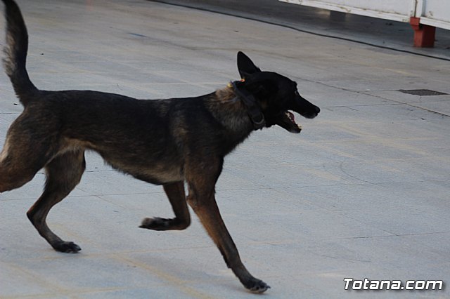 I Exhibicin Canina de Perros Detectores  - 78