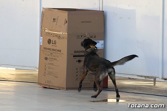 I Exhibicin Canina de Perros Detectores  - 84