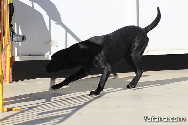 I Exhibicin Canina de Perros Detectores  - 88