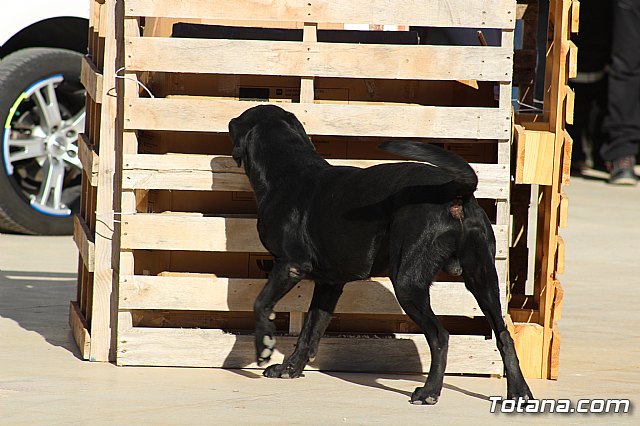 I Exhibicin Canina de Perros Detectores  - 91