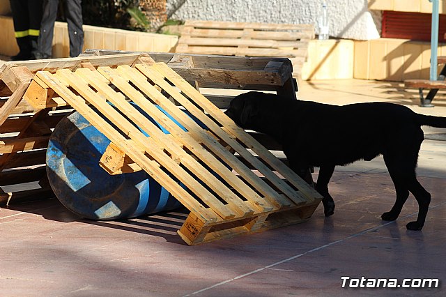 I Exhibicin Canina de Perros Detectores  - 97