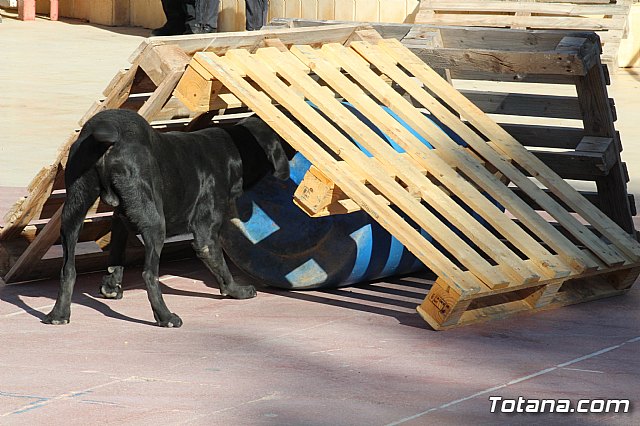 I Exhibicin Canina de Perros Detectores  - 98