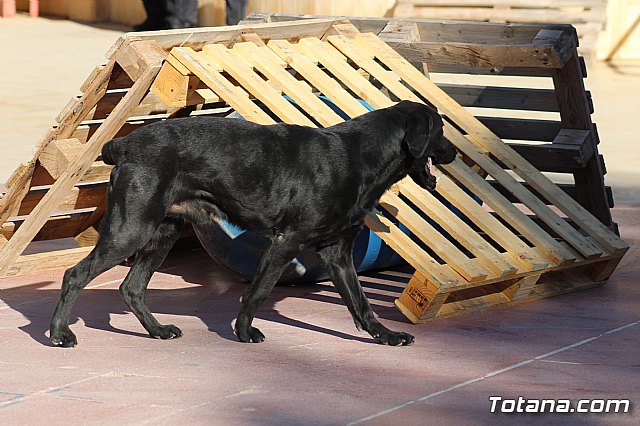 I Exhibicin Canina de Perros Detectores  - 99