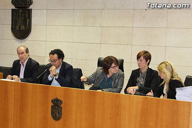 Pleno extraordinario 05-11-2014 - 6