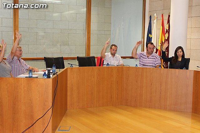 Pleno extraordinario para solicitar ayudas por los daos ocasionados por las lluvias - 8