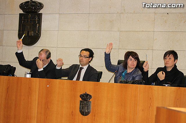 Pleno extraordinario 10/03/2014 - 12