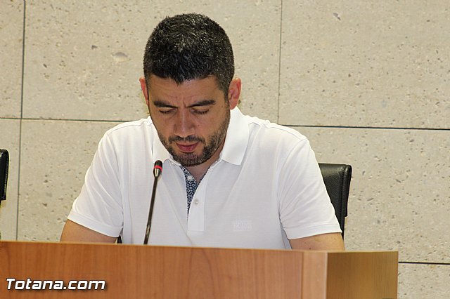 Pleno extraordinario para adherirse al fondo de Ordenacin de Medidas de Sostenibilidad Financiera y Entidades Locales - 14