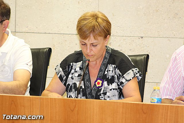 Pleno extraordinario para adherirse al fondo de Ordenacin de Medidas de Sostenibilidad Financiera y Entidades Locales - 16