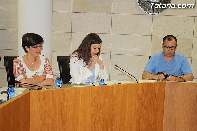 Pleno extraordinario. Plan de ajuste  - 10