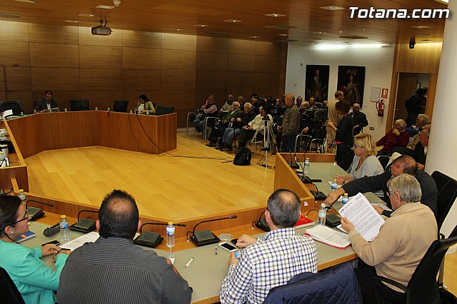 Pleno extraordinario PGOM (14/11/2014) - 8