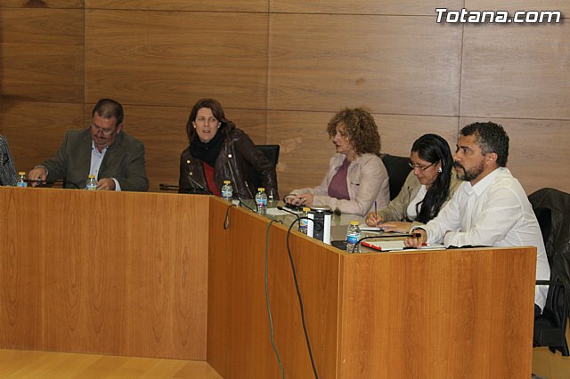 Pleno extraordinario PGOM (14/11/2014) - 13