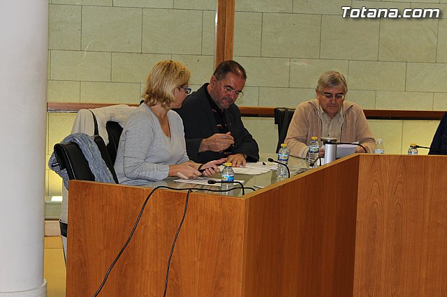 Pleno extraordinario PGOM (14/11/2014) - 16