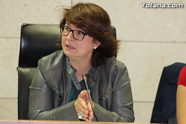 Pleno extraordinario PGOM (14/11/2014) - 33