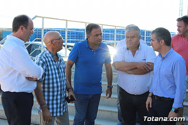 La Regin produce el 22 por ciento de los pimientos de bola destinados a pimentn en Espaa - 18