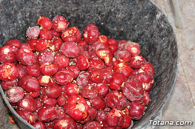 La Regin produce el 22 por ciento de los pimientos de bola destinados a pimentn en Espaa - 59