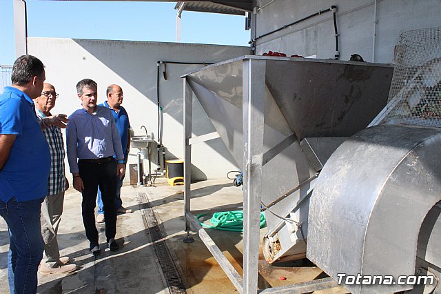 La Regin produce el 22 por ciento de los pimientos de bola destinados a pimentn en Espaa - 73