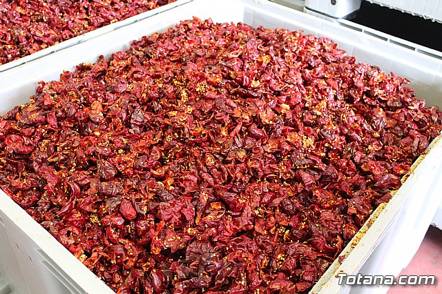 La Regin produce el 22 por ciento de los pimientos de bola destinados a pimentn en Espaa - 79