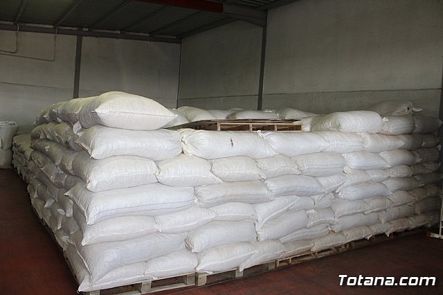 La Regin produce el 22 por ciento de los pimientos de bola destinados a pimentn en Espaa - 82