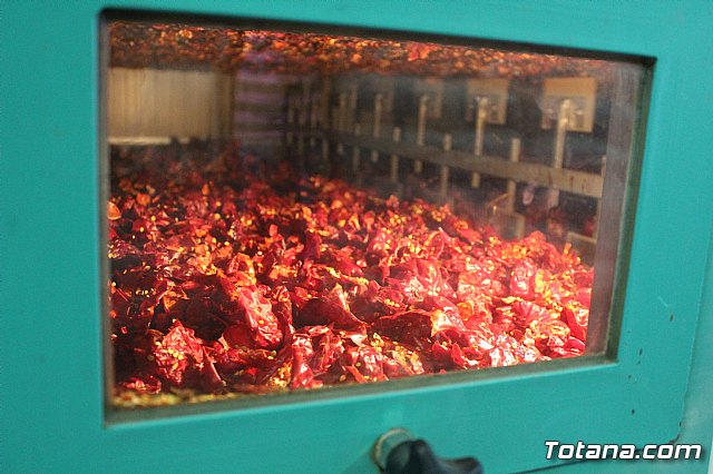 La Regin produce el 22 por ciento de los pimientos de bola destinados a pimentn en Espaa - 83