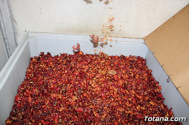 La Regin produce el 22 por ciento de los pimientos de bola destinados a pimentn en Espaa - 85