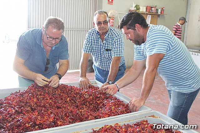 La Regin produce el 22 por ciento de los pimientos de bola destinados a pimentn en Espaa - 88