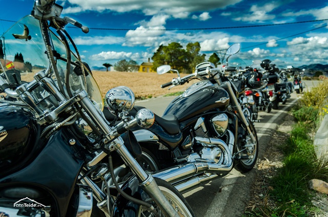 Pimentn de Oro Raiguero 2013 - 2014 - 40