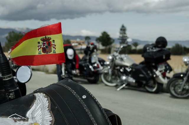 Pimentn de Oro Raiguero 2013 - 2014 - 41