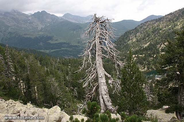 Viaje a los Pirineos, Club Senderista Totana - Verano 2013 - 180