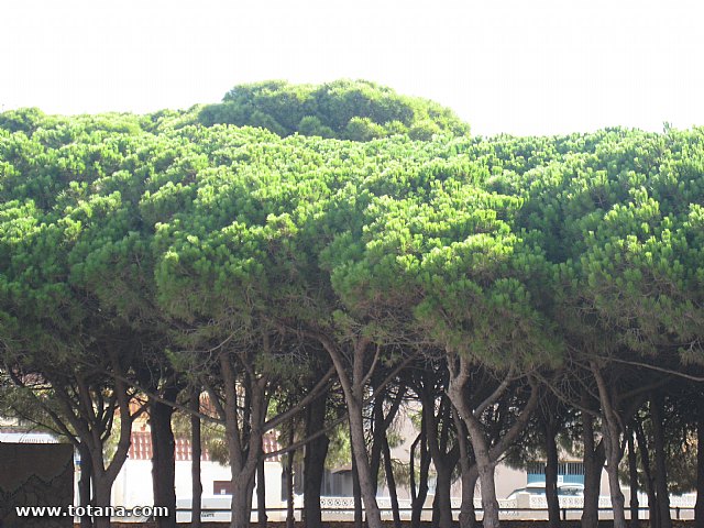 Concluye con gran xito el programa de viajes 