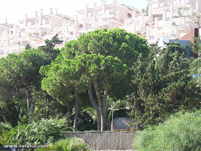 Concluye con gran xito el programa de viajes 