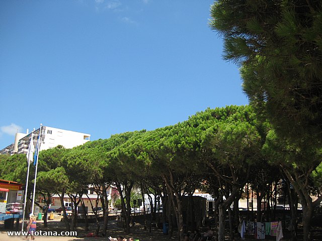 Concluye con gran xito el programa de viajes 