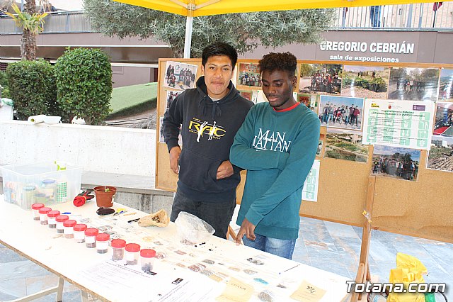 Plaza Solidaria - Totana 2019 - 2