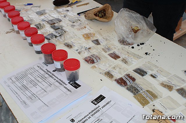 Plaza Solidaria - Totana 2019 - 4