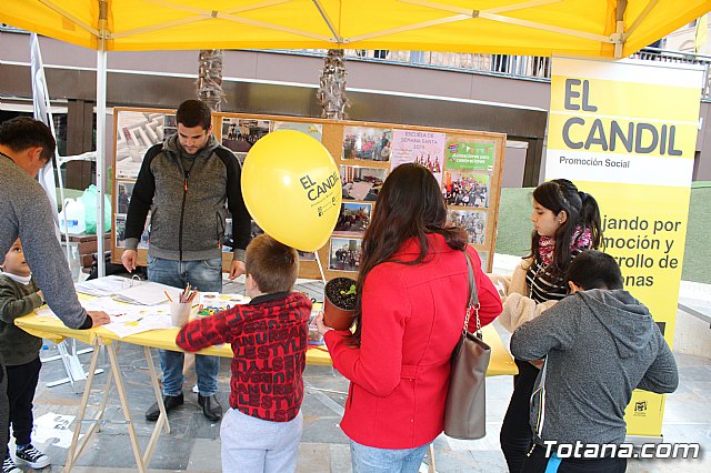 Plaza Solidaria - Totana 2019 - 13