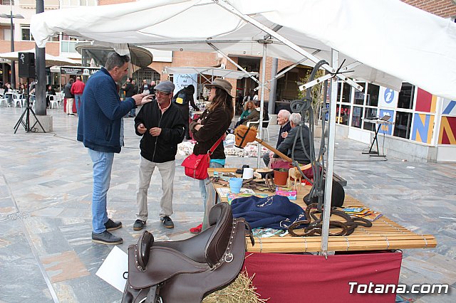 Plaza Solidaria - Totana 2019 - 49