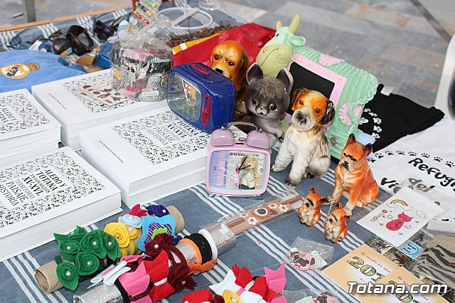 Plaza Solidaria - Totana 2019 - 57