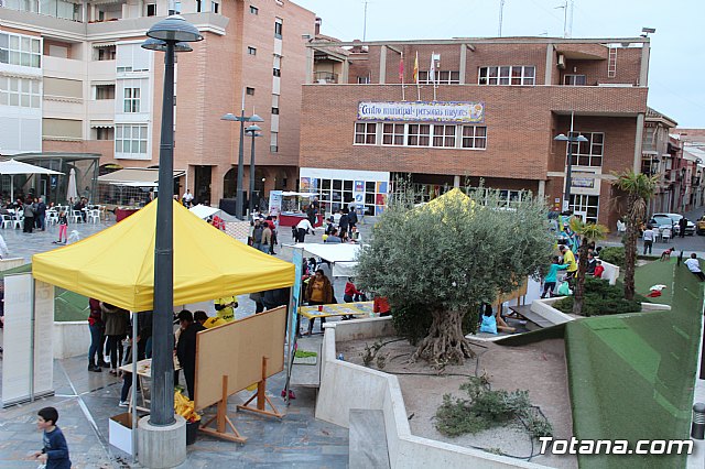 Plaza Solidaria - Totana 2019 - 74