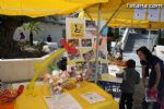 Plaza Solidaria