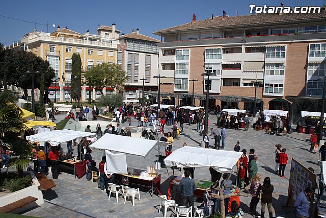 Plaza Solidaria. Encuentro de asociaciones - 4