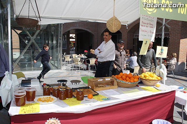 Plaza Solidaria. Encuentro de asociaciones - 39