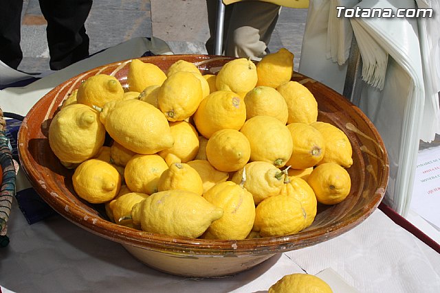 Plaza Solidaria. Encuentro de asociaciones - 46