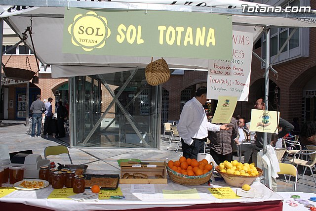 Plaza Solidaria. Encuentro de asociaciones - 50