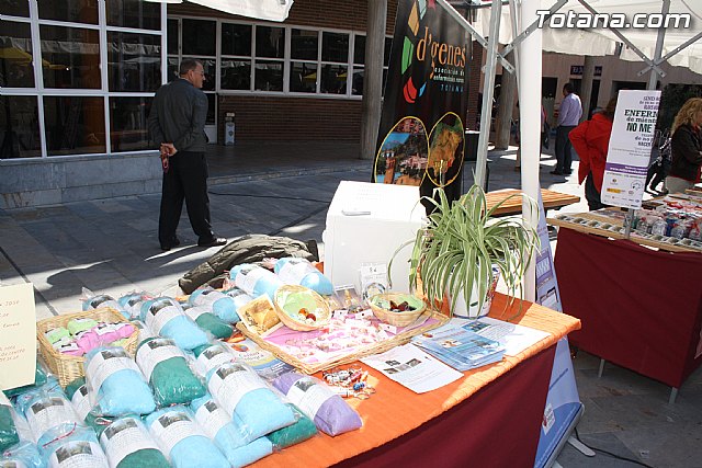 Plaza Solidaria. Encuentro de asociaciones - 55