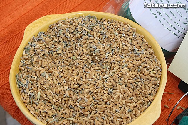 Plaza Solidaria. Encuentro de asociaciones - 60