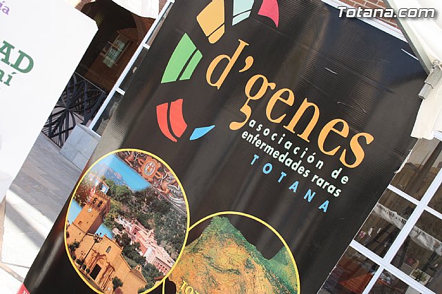 Plaza Solidaria. Encuentro de asociaciones - 64