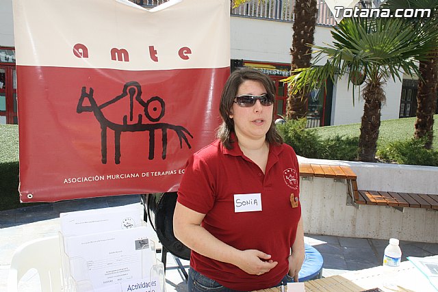 Plaza Solidaria. Encuentro de asociaciones - 88