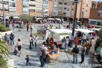 plaza solidaria