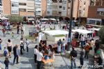 plaza solidaria